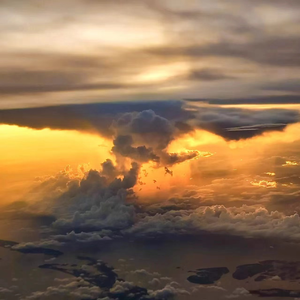 亚洲无码下一页
