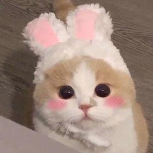 亚洲无码下一页
