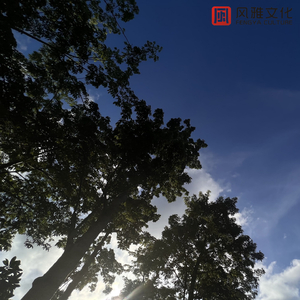 亚洲无码下一页
