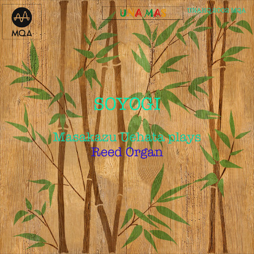 亚洲无码下一页
